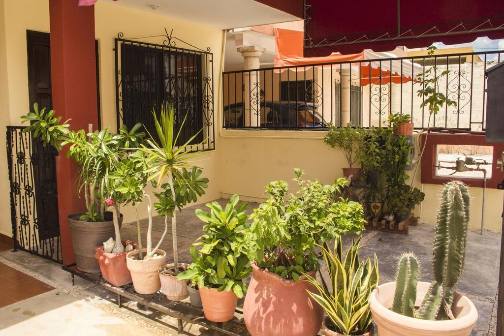 La Casa Del Chac Villa เมริดา ภายนอก รูปภาพ