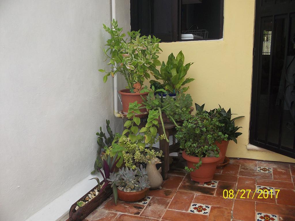 La Casa Del Chac Villa เมริดา ภายนอก รูปภาพ